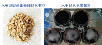 废弃物饲料化利用技术.jpg